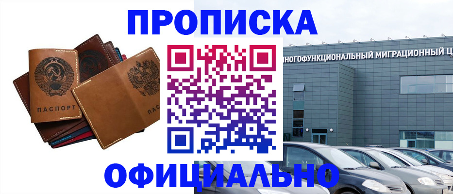 прописка в квартире в Стародубе