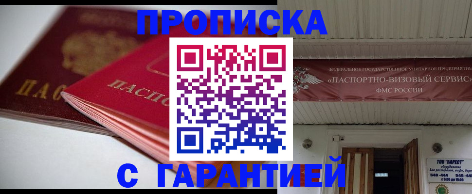 прописка гарантия в Стародубе